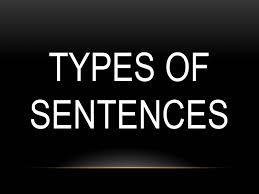 NCERT 6TH CLASS ENGLISH GRAMMAR TYPES OF SENTENCES